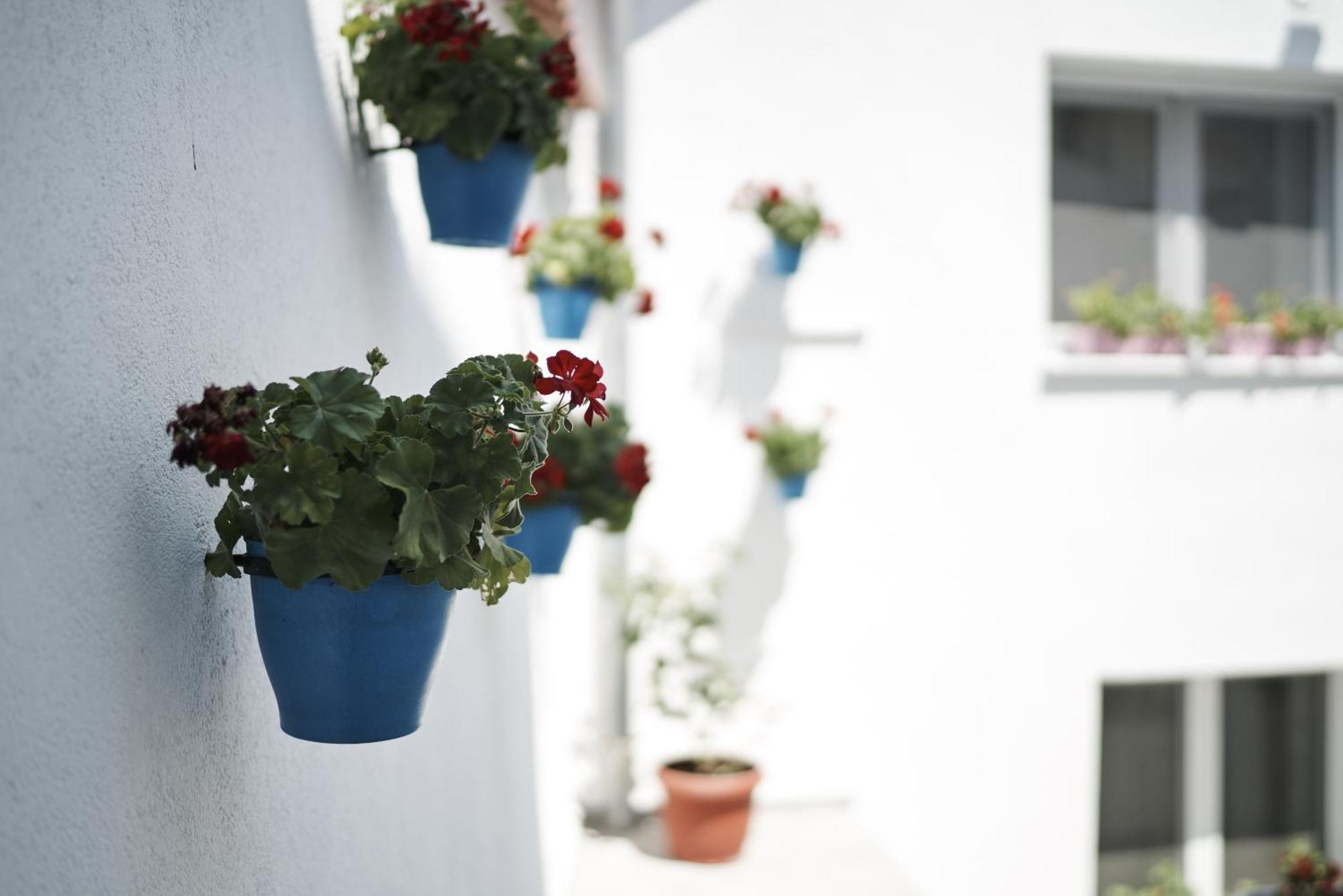 Pansion Rose Hotel Mostar Buitenkant foto